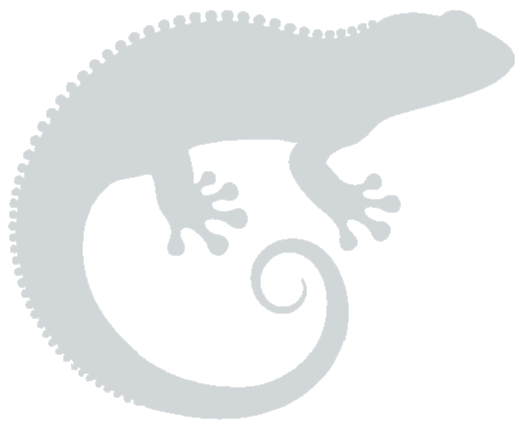 Der Sicherheitssalamander